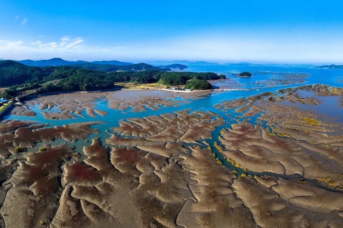 Vue aérienne de vastes vasières et chenaux sur la côte occidentale de la Corée du Sud