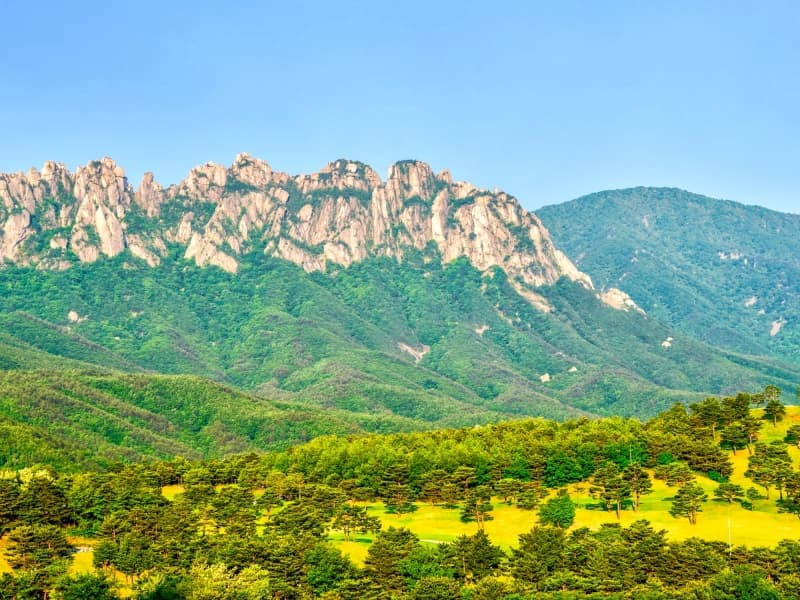 Crêtes rocheuses du Seoraksan dominant des pentes boisées en Corée du Sud